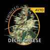 DELHI CHEESE (auto)