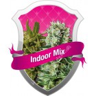 Indoor Mix