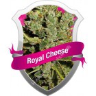 Royal Cheese