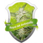 Royal AK Automatic