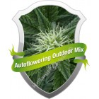 Autoflowering Mix