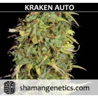 Kraken Auto