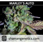 Marley´s Auto