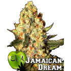 Jamaican Dream