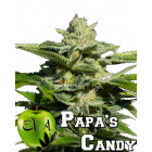 Papa's Candy