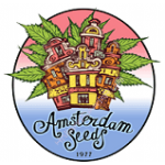 Amsterdam seeds