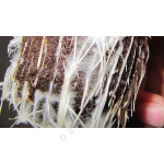 Как улучшить рост растений каннабиса с помощью микоризы