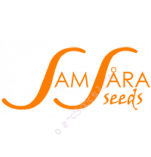 SamSara Seeds
